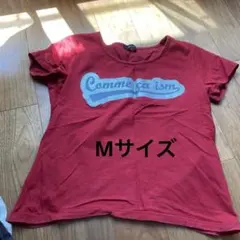 Item thumbnail for item 49afa729-77d0-4744-a71a-0e25408f4f27