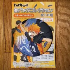 ハイキュー‼︎　横断幕　グリッター缶バッジ　日向翔陽
