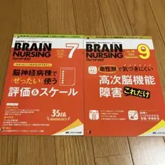 BRAIN NURSING Vol.35・36 2冊セット