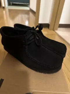 Item thumbnail for item 737f23b2-38ee-48e9-ada0-a43c0911eb14