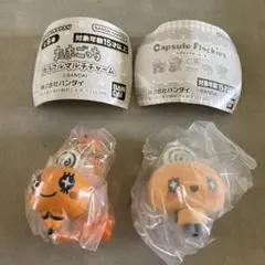 たまごっち カプセルフロッキーズ、 カラフルマルチチャーム めめっち　セット