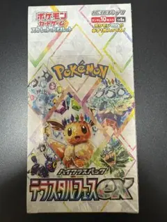 2025年最新】テラフェス boxの人気アイテム - メルカリ