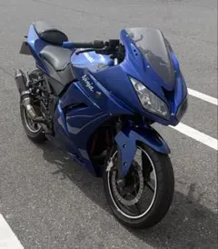 Ninja250r ニンジャ250R ニンジャ250 才谷屋のサムネイル