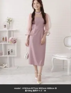 LACE LADIES チュール袖 パフスリーブ パーティードレス 結婚式