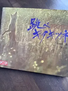 Item thumbnail for item 0d66a21e-eb6c-4da3-b3fb-0eb18218db79