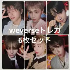 BOYLIFE ウィバーストレカ 6枚セット