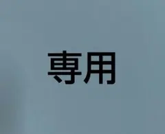 専用