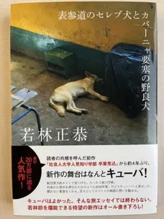 表参道のセレブ犬とカーニーヤ要塞の野良犬
