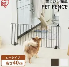 Item thumbnail for item 8d8bb20b-a197-4c2e-ae63-6d8f8ce15c7a