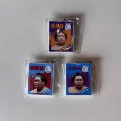 Item thumbnail for item be14146f-cacb-42ef-9033-70792bb15325