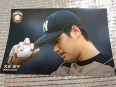 大谷翔平 2014 ハイライトフォト No.276 日本ハム 球団公式写真