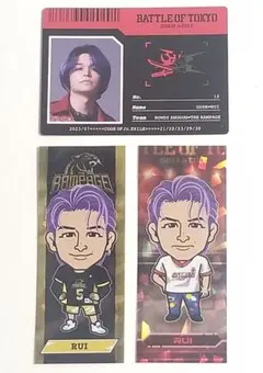 与那嶺瑠唯セット　フォトカード・千社札　BOT
