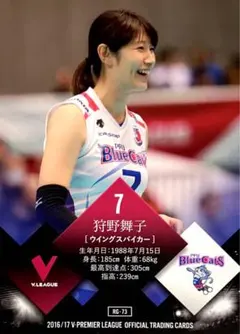 狩野舞子 島畑奈緒子 PFUブルーキャッツ Vプレミアリーグ 2016-17