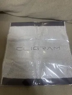 Item thumbnail for item ca43cb8b-5f70-4fb6-a44f-40bbd6b6b953