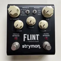 2026年最新】strymon flintの人気アイテム - メルカリ