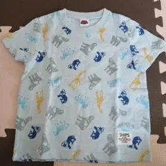 新品未使用　男の子　SHIPS KIDS 動物柄 Tシャツ 110　綿100