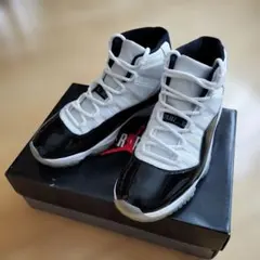 エアジョーダン11コンコルド(29cm)