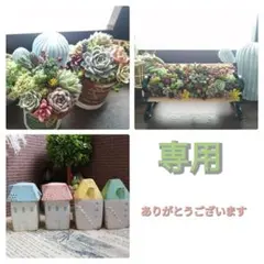 tkwi様 リクエスト 3点 まとめ商品