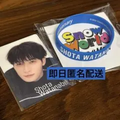 SnowMan 国立 スタジアム SnowWorld 渡辺翔太2点セット