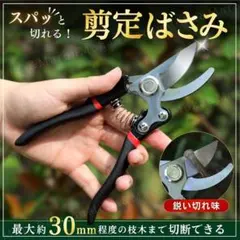 剪定ばさみ ハサミ はさみ 園芸 枝切り 果樹 ガーデニング 枝切り 強力 農業のサムネイル