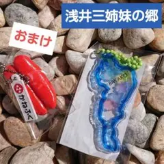 Item thumbnail for item 907a85ad-f9be-48d2-b064-0a1843bc17ce