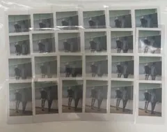 いれいす ないこ If ないふ 実写チェキ