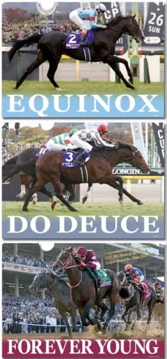 まねき馬名馬クリアファイルセット イクイノックスドウデュース