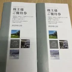 東急不動産株主優待ホールディングス　500株以上1000株未満 2冊セット