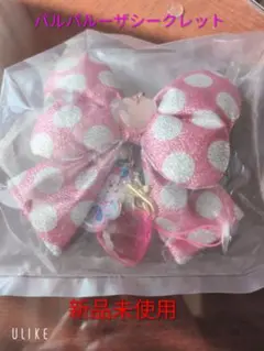 ディズニー　パルパルーザ　キーチェーン　シークレット