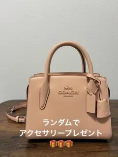【残り1点　プレゼントあり】COACH アンドレア　キャリーオール