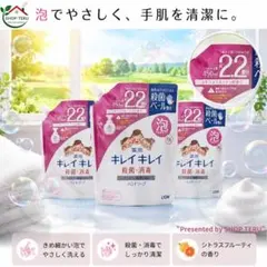 キレイキレイ泡ハンドソープ詰め替え 450ml シトラスフルーティー 3本セットのサムネイル