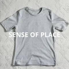 SENSE OF PLACE ラメ入りリブカットソー 半袖 グレー 杢グレー