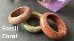 【フォッシルコーラル　サイズ大きめリング　指輪　#20程度　3個セット　天然石】