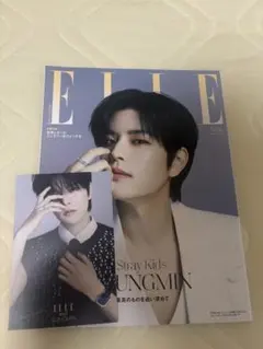 ELLE JAPON 7月号増刊 Stray Kids スンミン