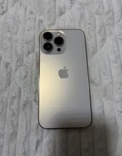 【りんご様専用】Apple iPhone 13 Pro シルバー