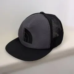 Item thumbnail for item 87777a0f-9dcf-43bf-8ade-e9a8adf8ffd7