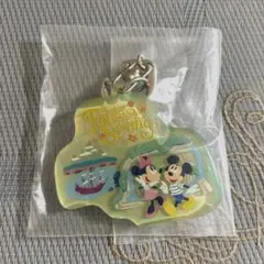 ディズニー アクリルキーチェーン ファンタジースプリングス