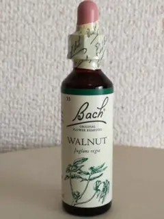 ウォルナット 20ml バッチフラワー フラワーエッセンス レメディのサムネイル