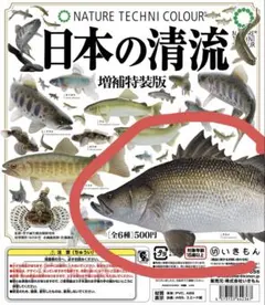 2026年最新】ネイチャーテクニカラー日本の清流増補特装版の人気