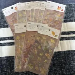 amifa シール Fallen leaves 10点セット