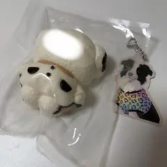 dongdong どんどん ボリス スクイーズ