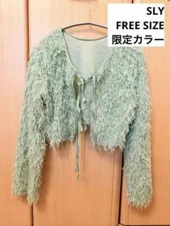 SLY 2WAY SHEER FEATHER TOPS