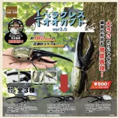 SO-TA 1/1 ヘラクレスオオカブト ver2.0 ブラック 昆虫　ガチャ
