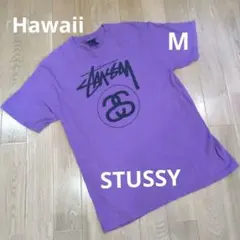 stussy　Ｔシャツ　ロゴＴシャツ　M　紫　美品