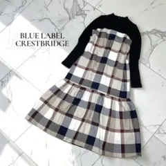 ブルーレーベルクレストブリッジ　 Aライン　ロングワンピース 【36】D340