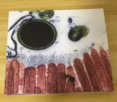 Plastic Tree CD「cell」初回限定盤