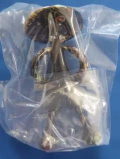 Item thumbnail for item 03554970-ec92-4644-8bb7-440eacc4195d