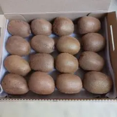 新鮮キウイ 16個入り