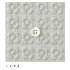 0072・C&S  コットン　小さなプルメリア（ミンティー）　６.０ｍ 2026年最新】check&stripe プルメリアの人気アイテム - メルカリ