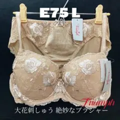 E75 トリンプ 大花刺しゅう 絶妙なブラジャー &ショーツ